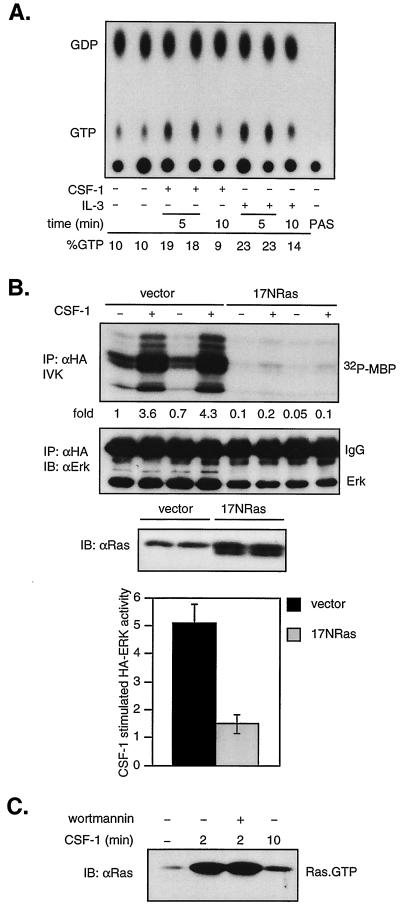 FIG. 3