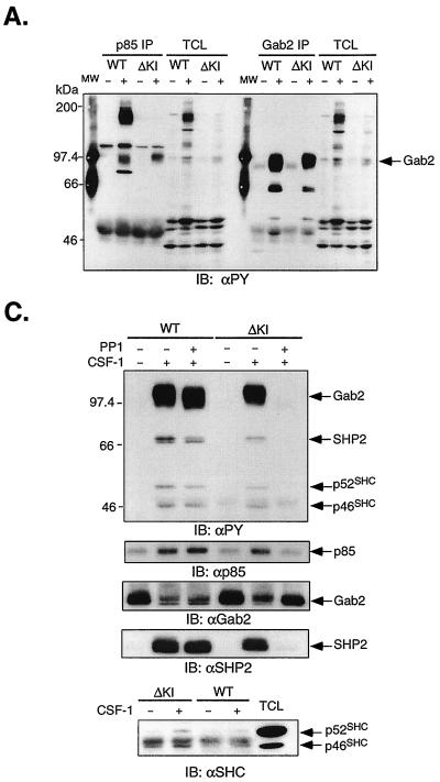 FIG. 11