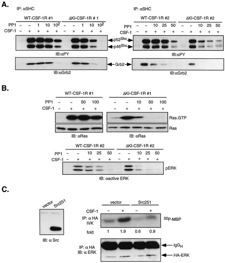 FIG. 9