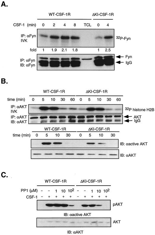 FIG. 7