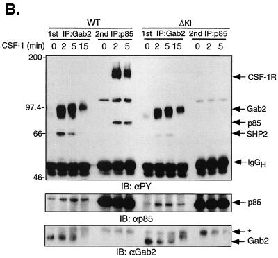 FIG. 11