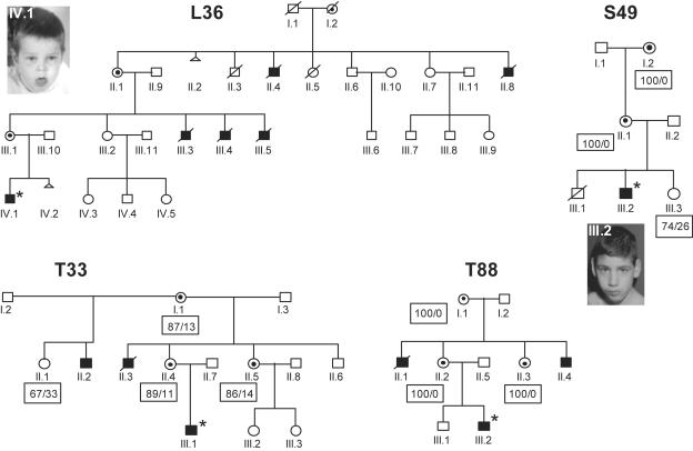 Figure  1