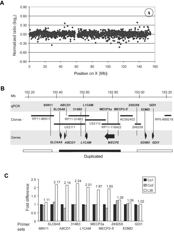 Figure  2