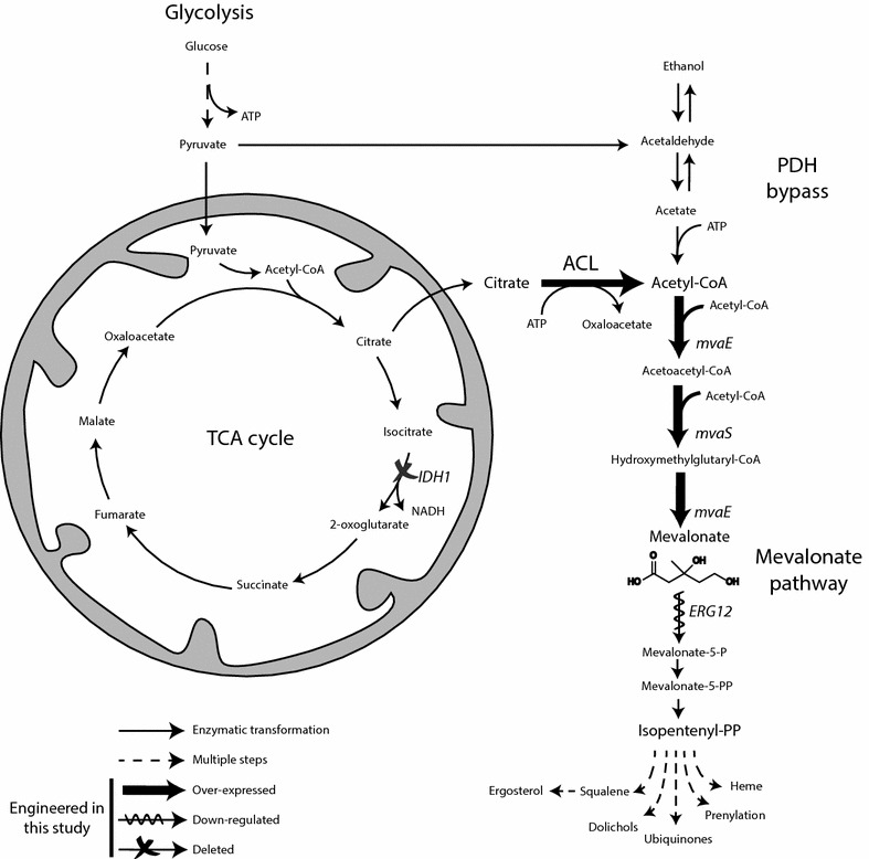 Fig. 1