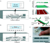 Fig. 4