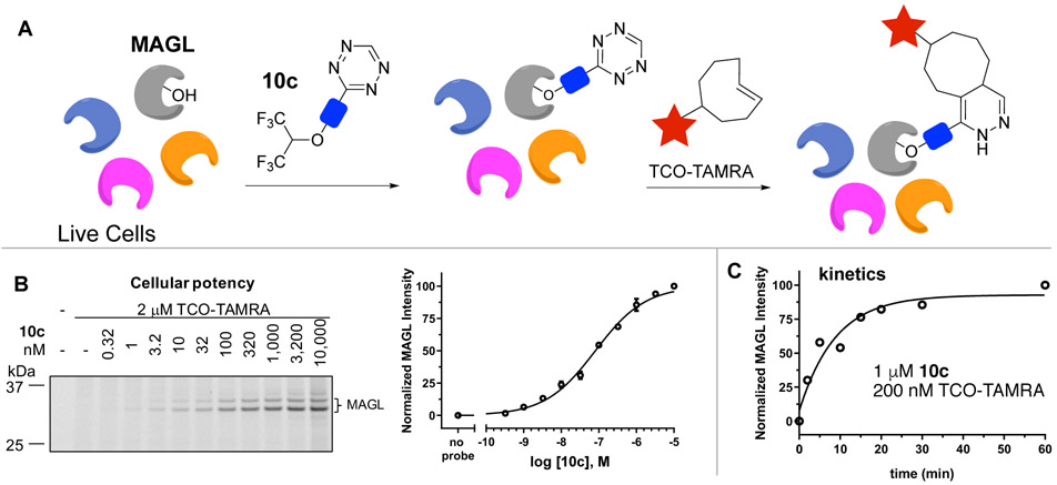 Figure 3.