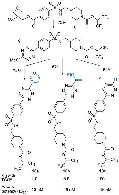 Scheme 5.