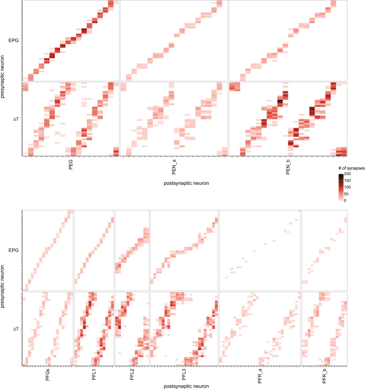 Figure 20—figure supplement 1.