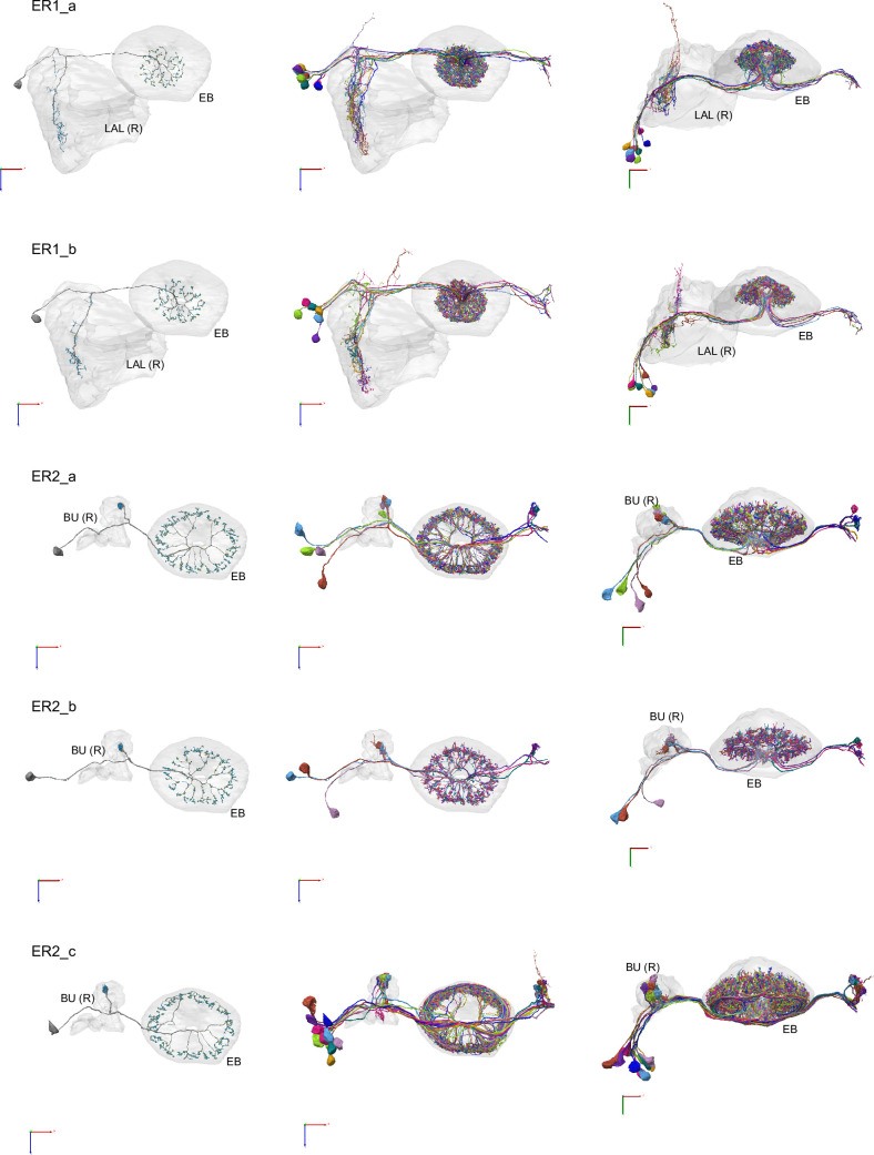 Figure 10—figure supplement 5.