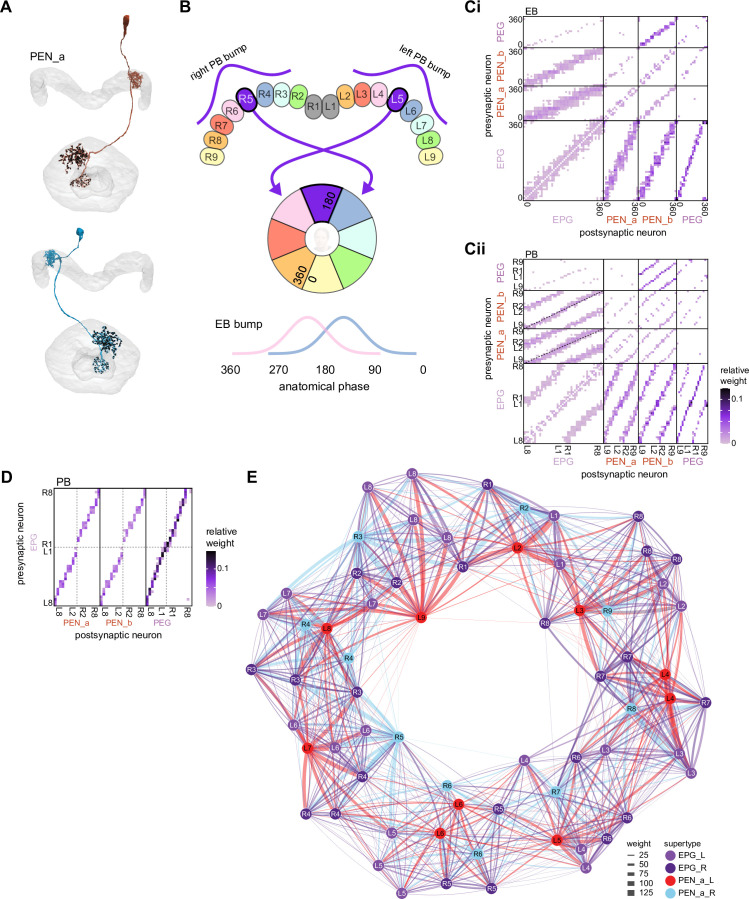 Figure 17.