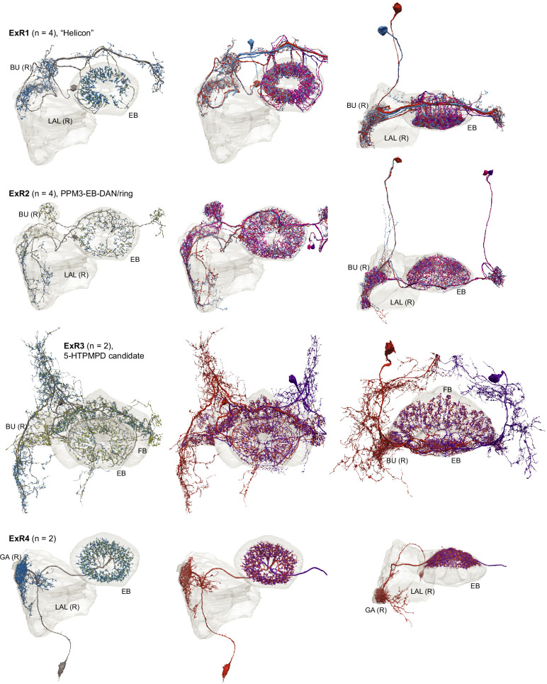 Figure 14—figure supplement 1.