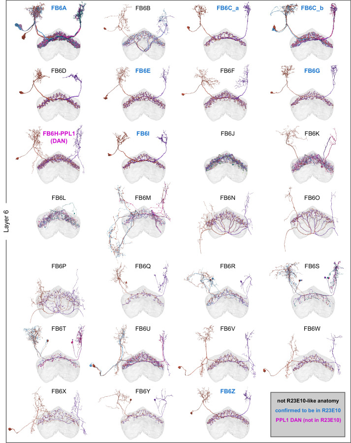 Figure 48—figure supplement 6.