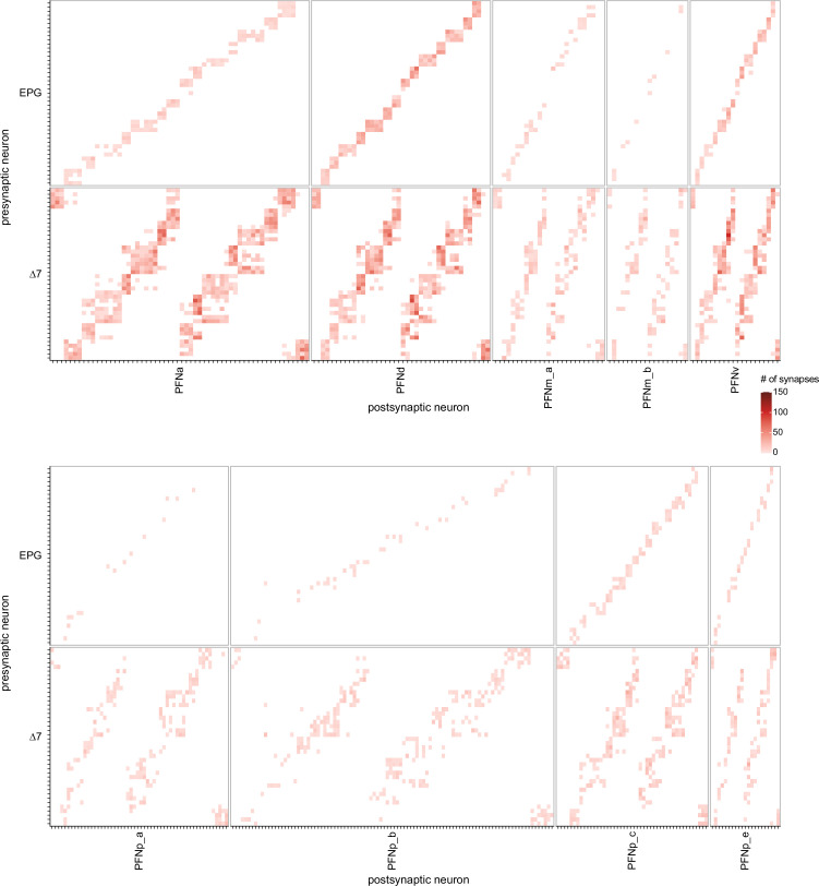 Figure 20—figure supplement 2.