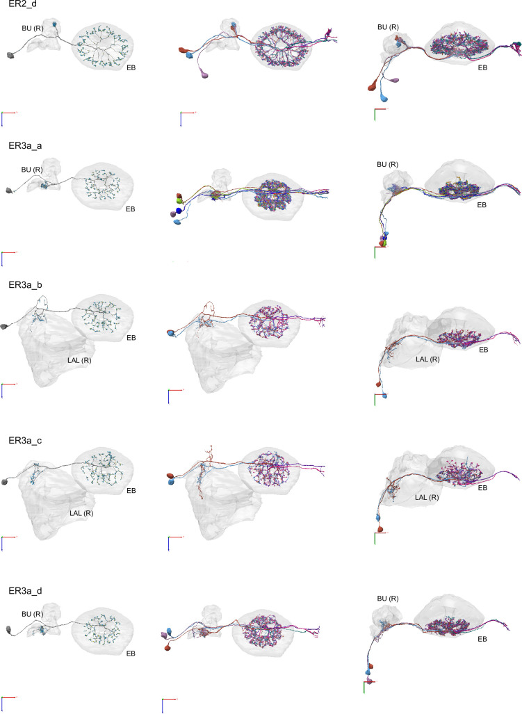 Figure 10—figure supplement 6.