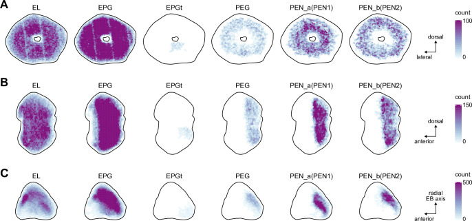 Figure 10—figure supplement 2.