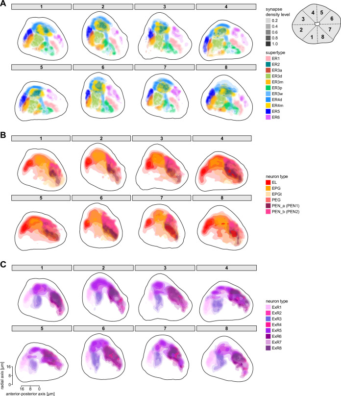 Figure 10—figure supplement 4.