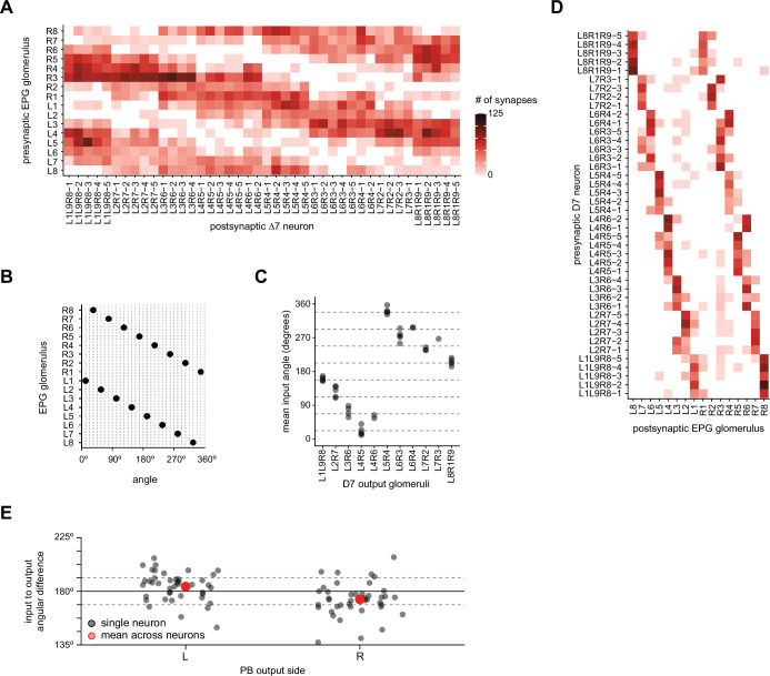 Figure 20—figure supplement 3.