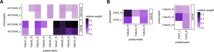 Figure 8—figure supplement 1.