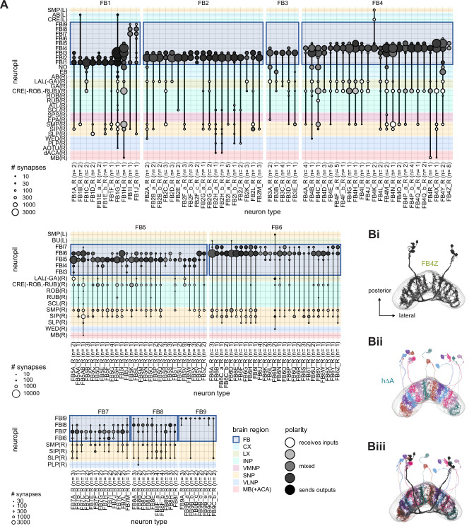 Figure 40—figure supplement 1.