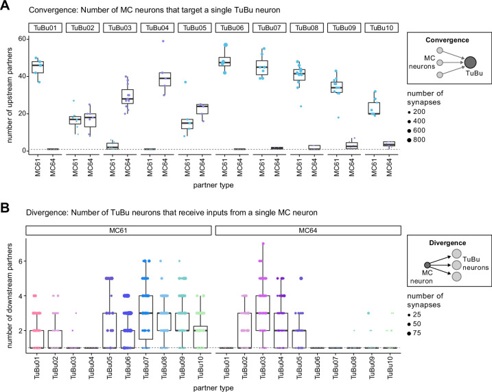 Figure 6—figure supplement 1.