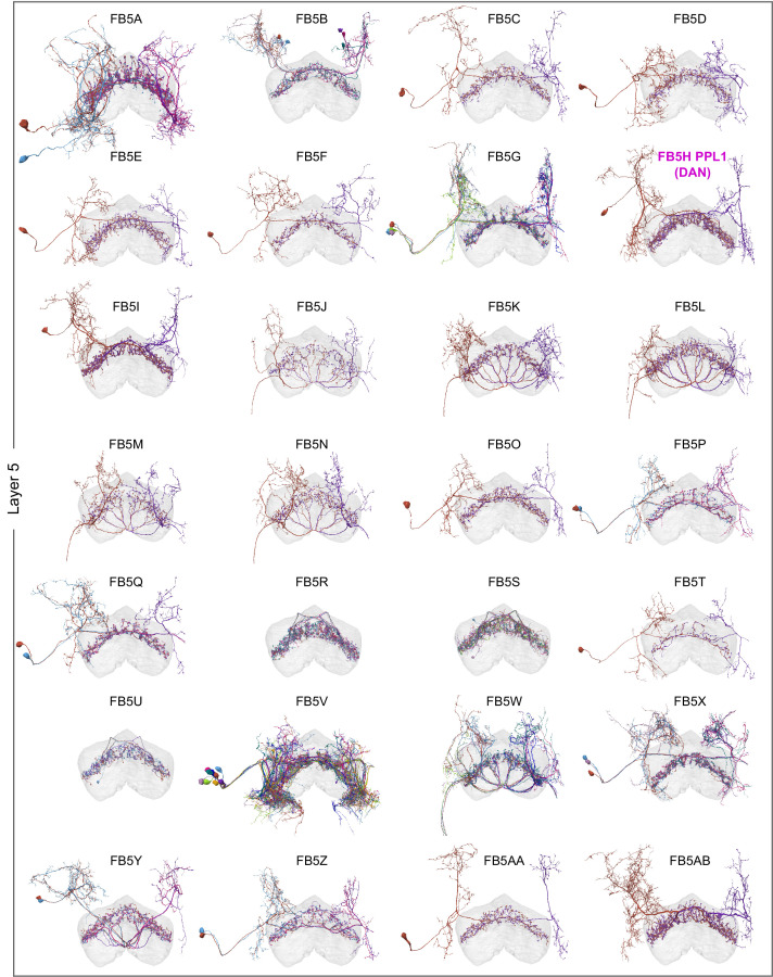 Figure 48—figure supplement 7.