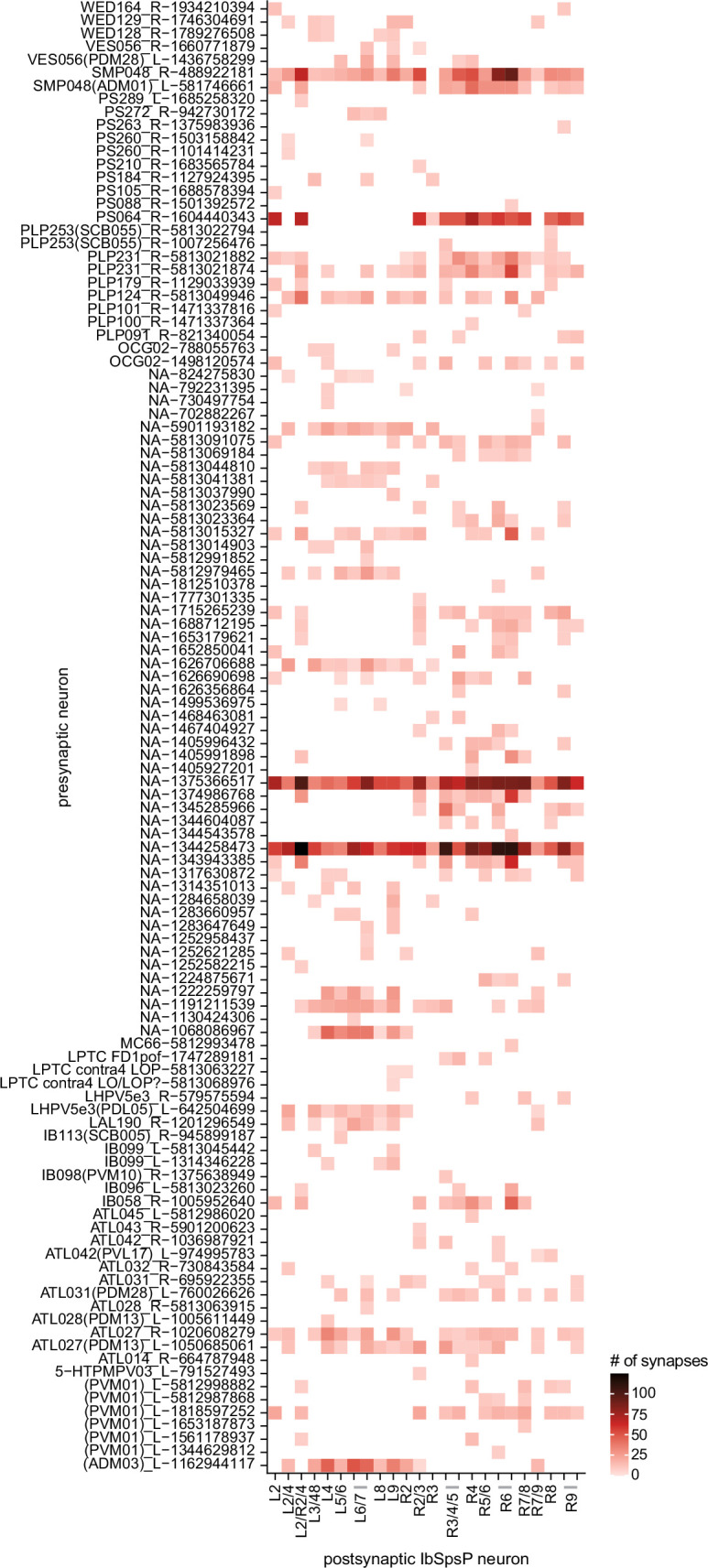 Figure 22—figure supplement 1.