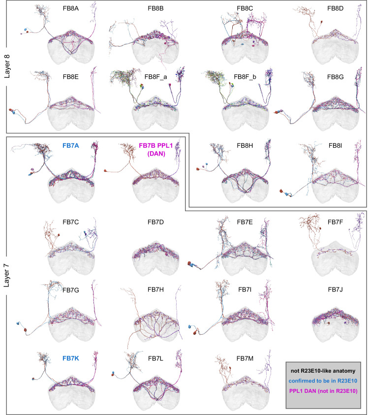 Figure 48—figure supplement 5.