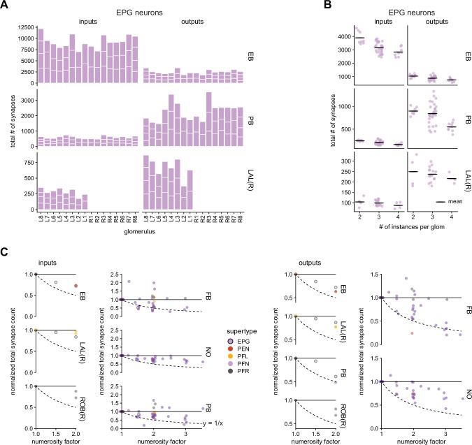 Figure 24—figure supplement 1.