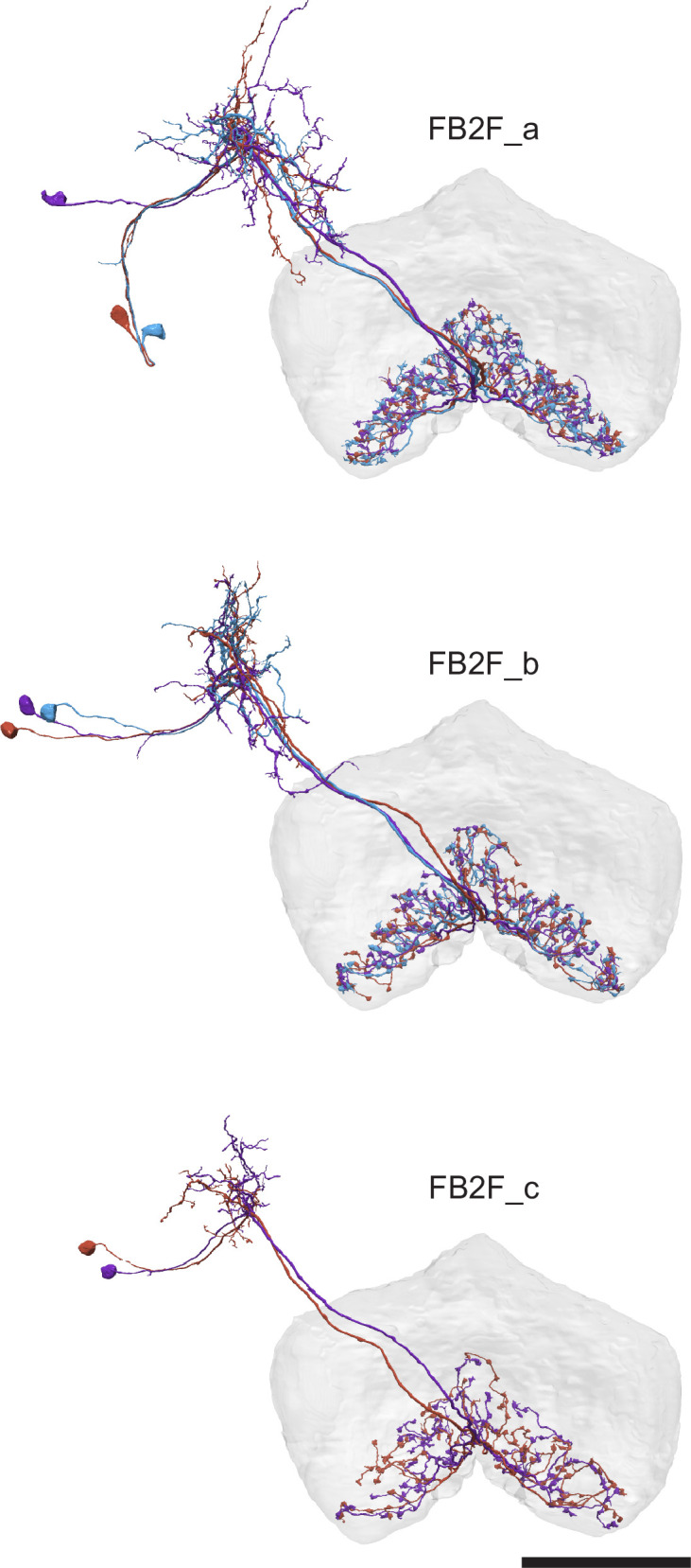 Appendix 1—figure 2.