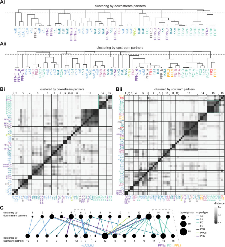 Figure 33—figure supplement 2.