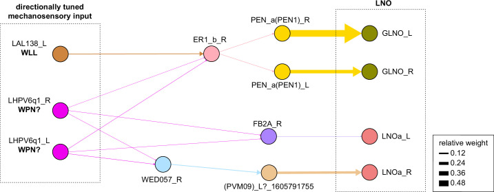 Figure 27—figure supplement 2.