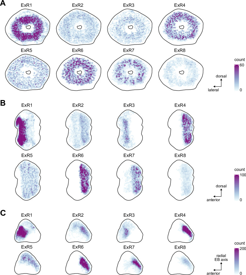 Figure 10—figure supplement 3.