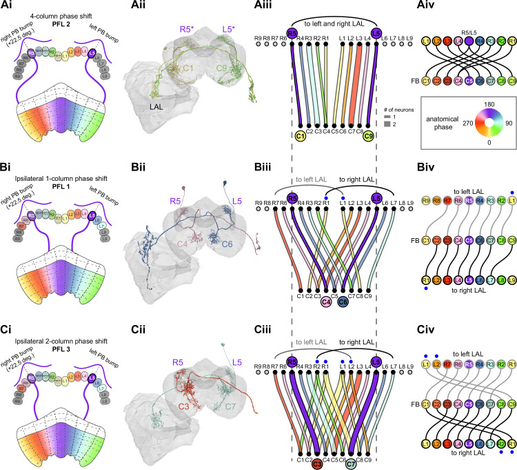 Figure 39.