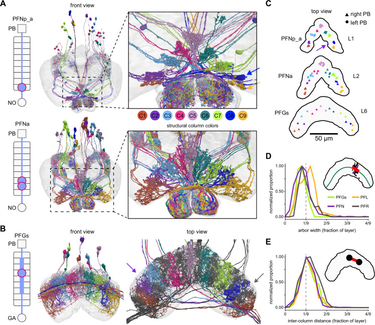 Figure 29.