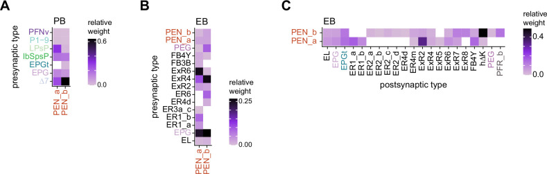 Figure 17—figure supplement 1.