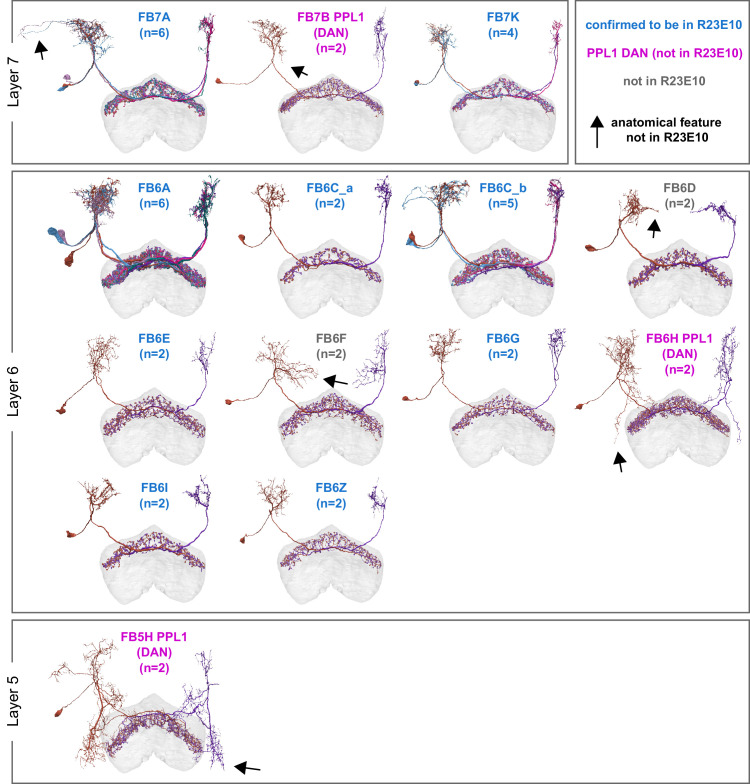 Figure 48—figure supplement 2.