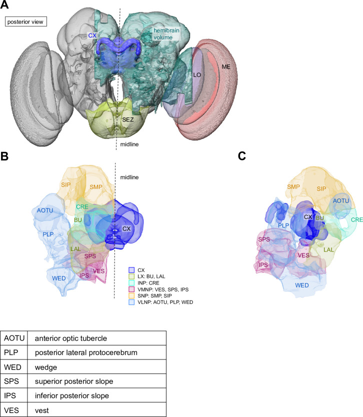 Figure 1—figure supplement 1.