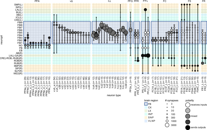 Figure 28—figure supplement 1.