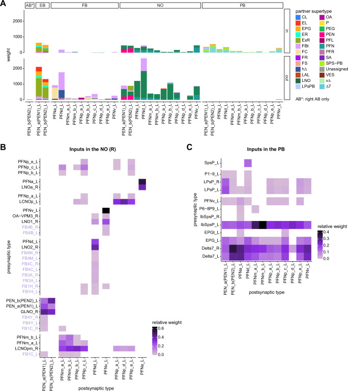 Figure 26—figure supplement 1.