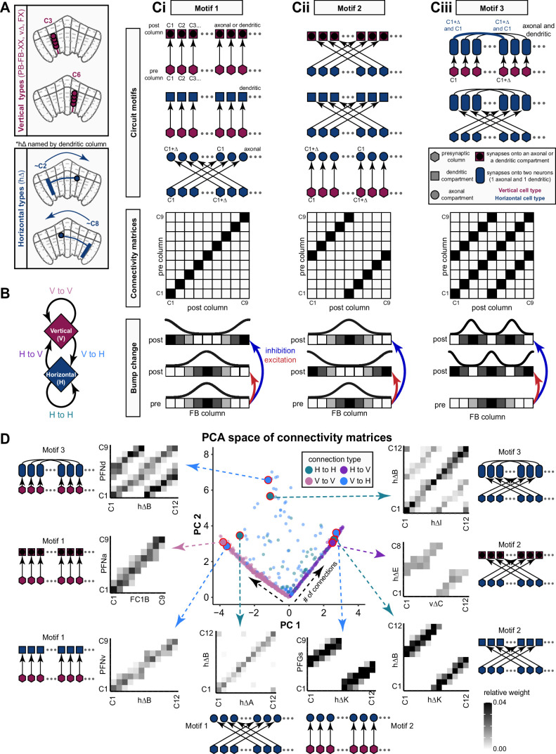 Figure 37—figure supplement 1.