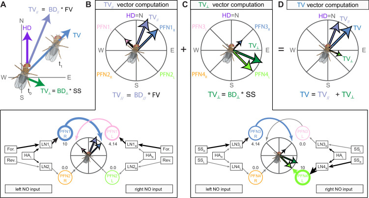 Figure 72.