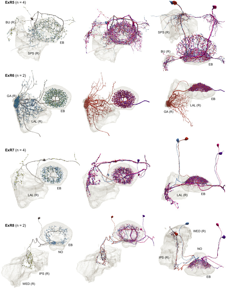 Figure 14—figure supplement 2.