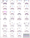 Figure 48—figure supplement 6.