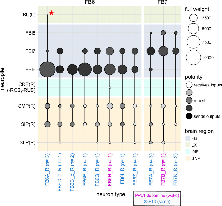 Figure 48—figure supplement 1.