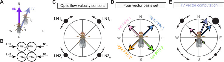 Figure 71.