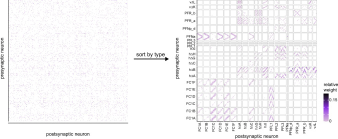 Figure 75—figure supplement 1.