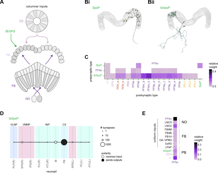 Figure 22.