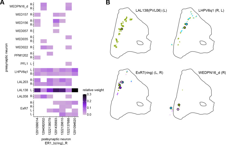 Figure 9—figure supplement 1.