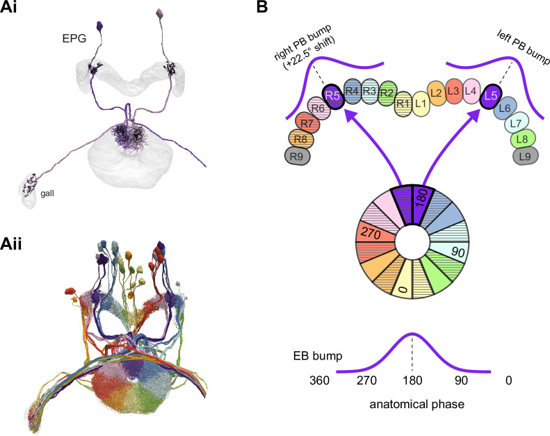 Figure 16.