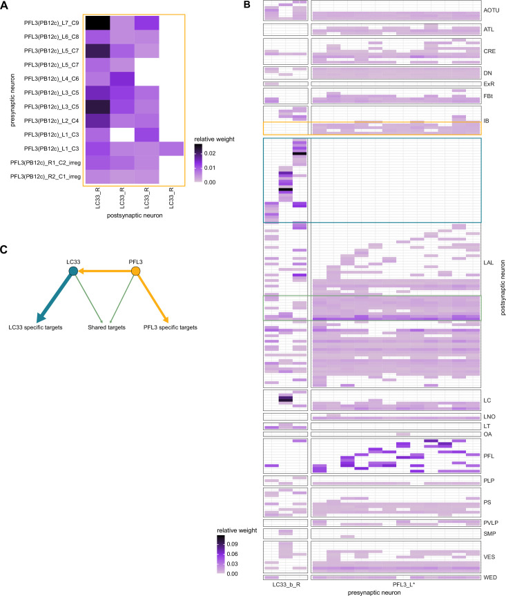 Figure 62—figure supplement 2.